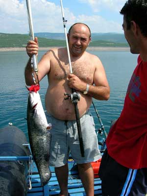 5kg Catfish in Bileća.